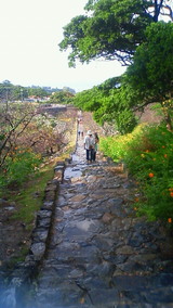 200811021521000