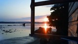 浜辺の茶屋