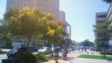 200810031243001